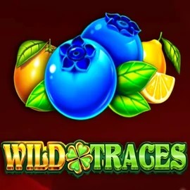 Wild Traces online slot from Amusnet Interactive – play at icemodchip.com